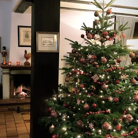 Hotel Dombaecker 3*